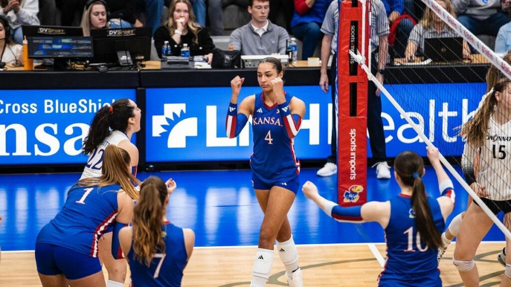 professional volleyball net and poles